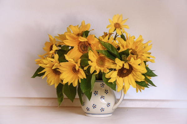 40 Types of Sunflowers: Varieties for Bouquets and Gardens