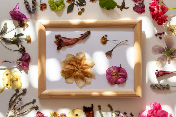 What To Do With Pressed Flowers: 12 Beautiful DIY Ideas