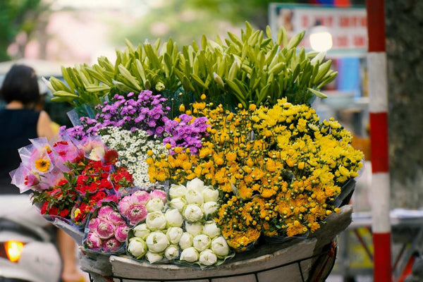 13种花的颜色及其象征意义:每种颜色代表什么