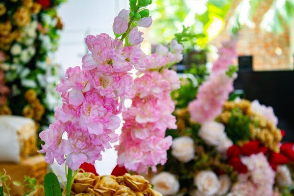 一年生花卉和多年生花卉有何区别?