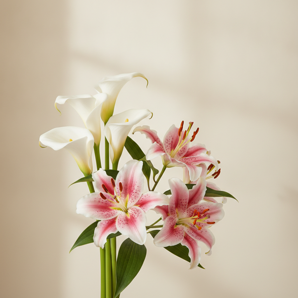 Lily vs Calla Lily: Types, Meanings, and How to Tell Them Apart