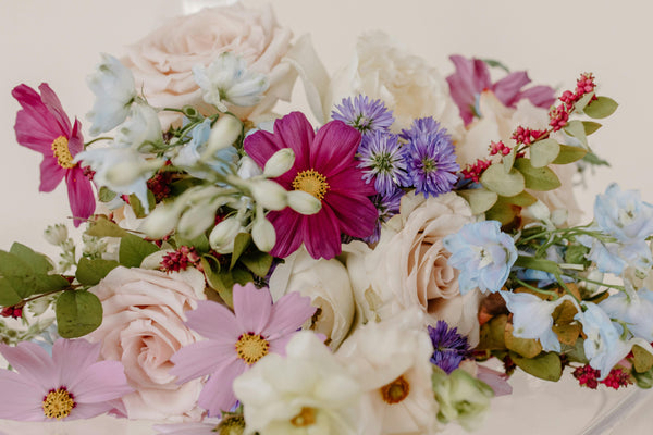 The Purpose of Flowers: 7 Roles in Nature and Daily Life