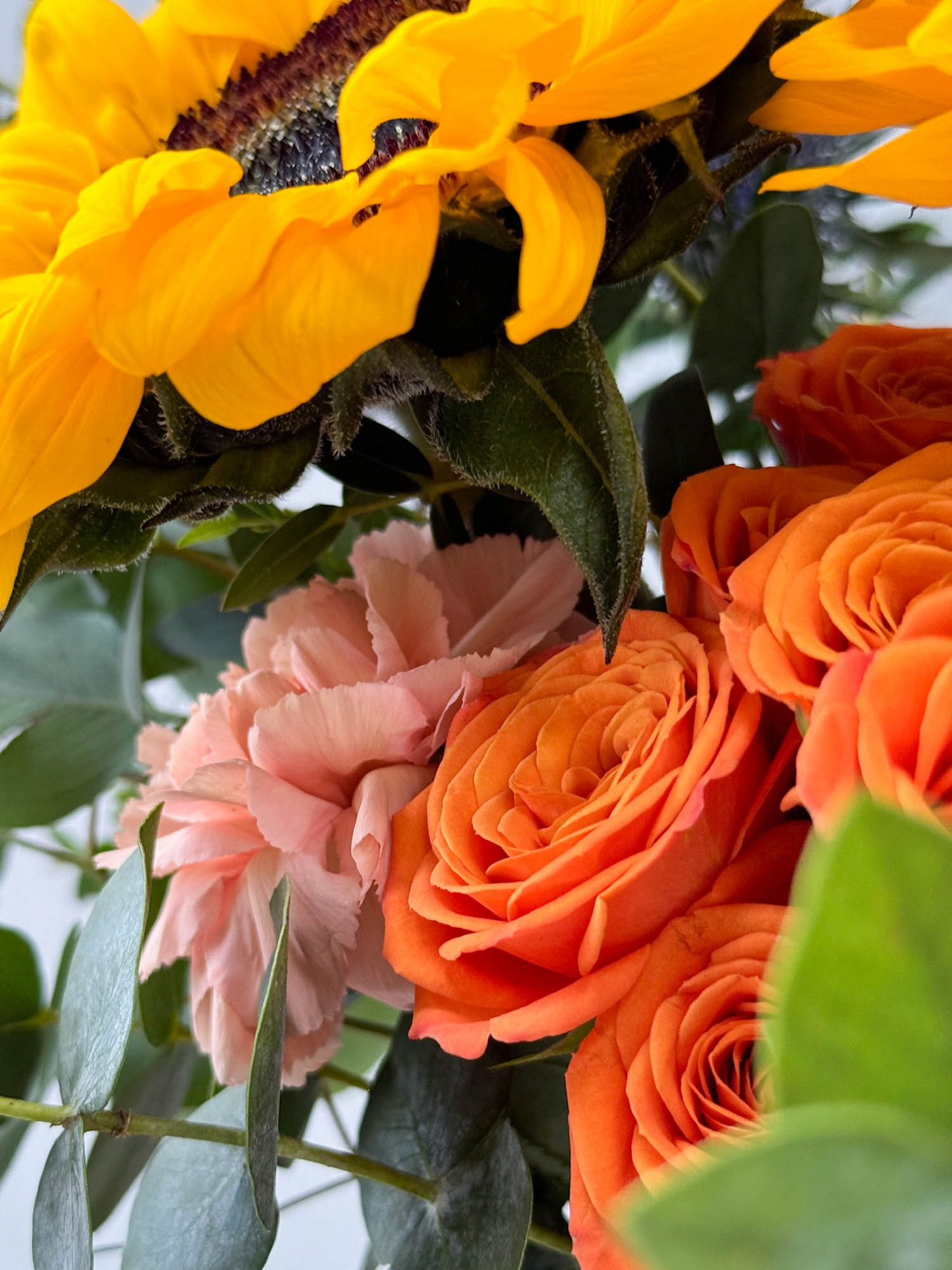 Beaming Buona Vista Vase