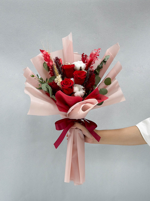 微风海湾(红色)