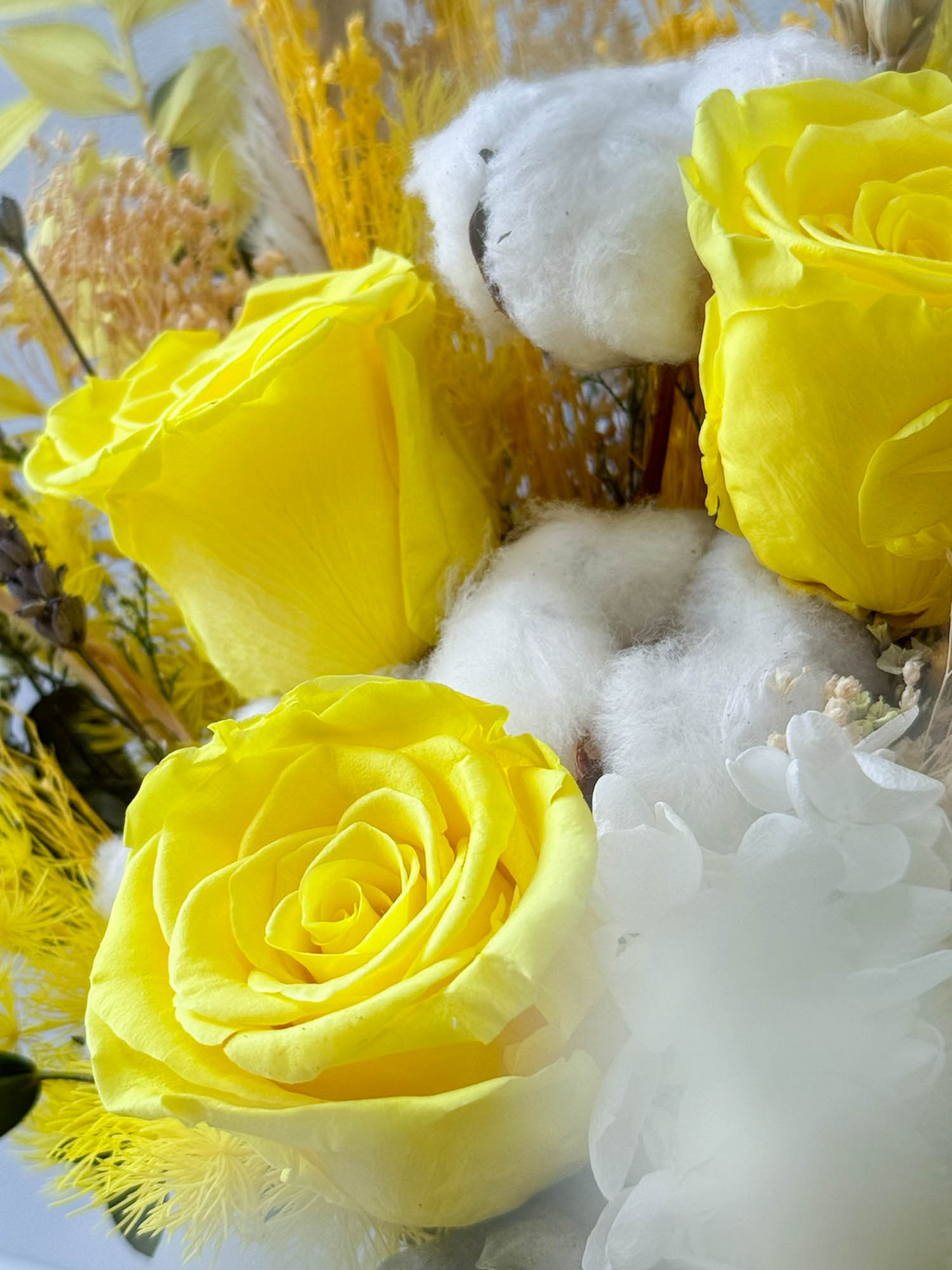 Breezy Bayfront (Yellow)