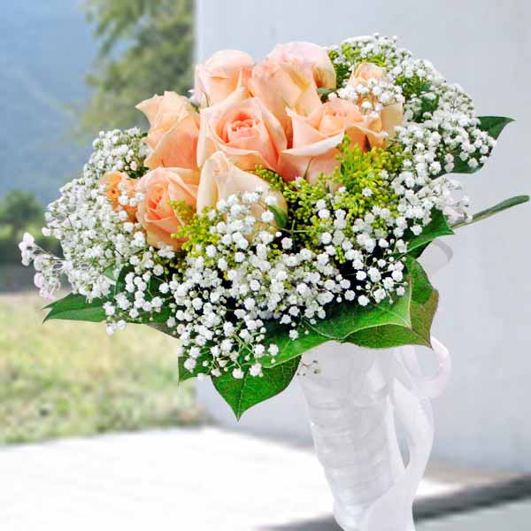 12枝香槟玫瑰特别包装