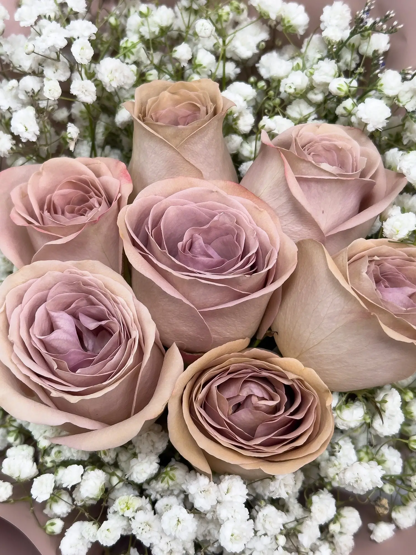 Rosy Raffles (Cappuccino)