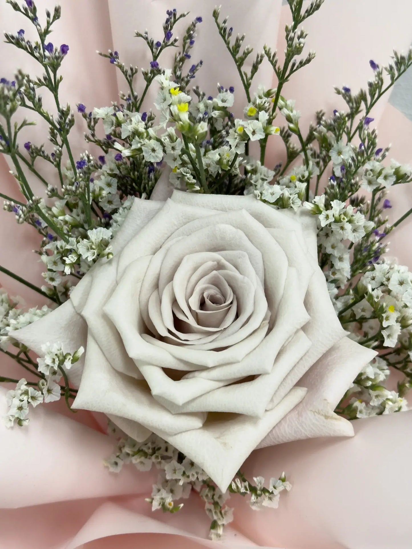 Single Rosy Raffles (Menta)