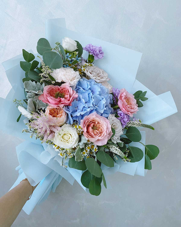 港湾绣球花