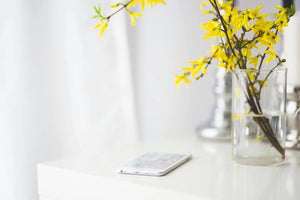 10 Types Of Forsythia: Bringing Golden Spring Into Your Home