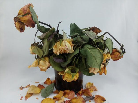 12 Ideas: What To Do With Wilted Flowers