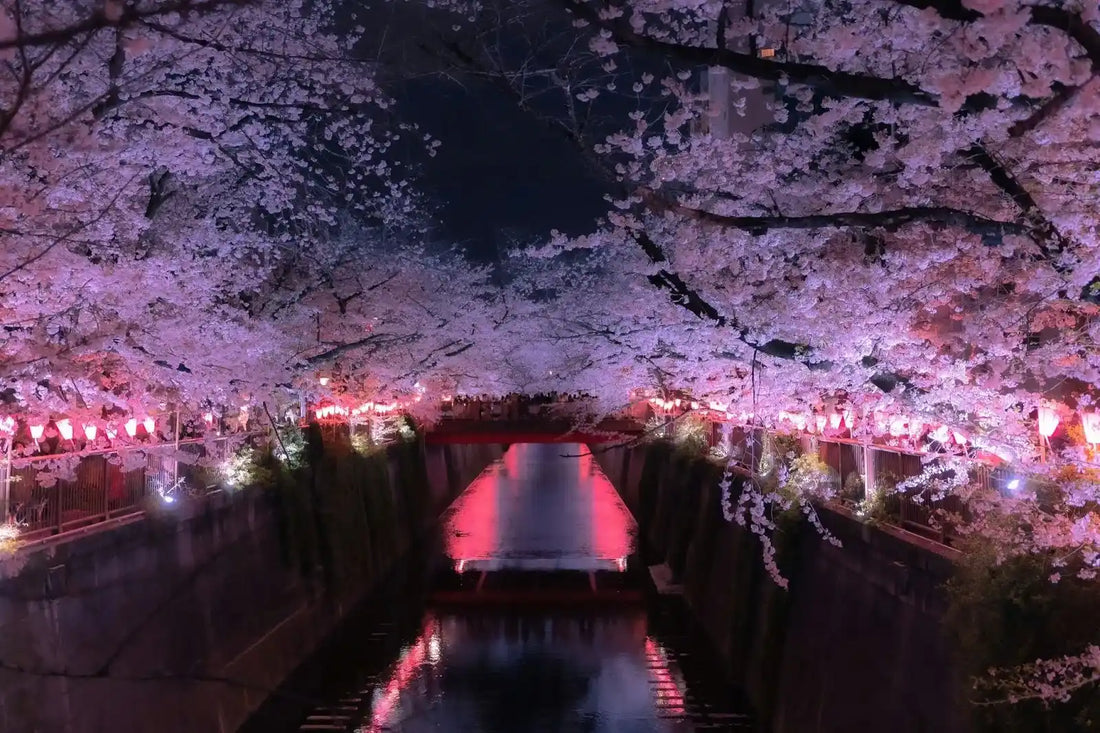 15 Most Beautiful Flower Festivals Around the World