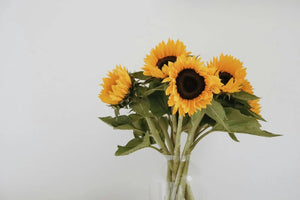 17 Flowers That Symbolise Loyalty