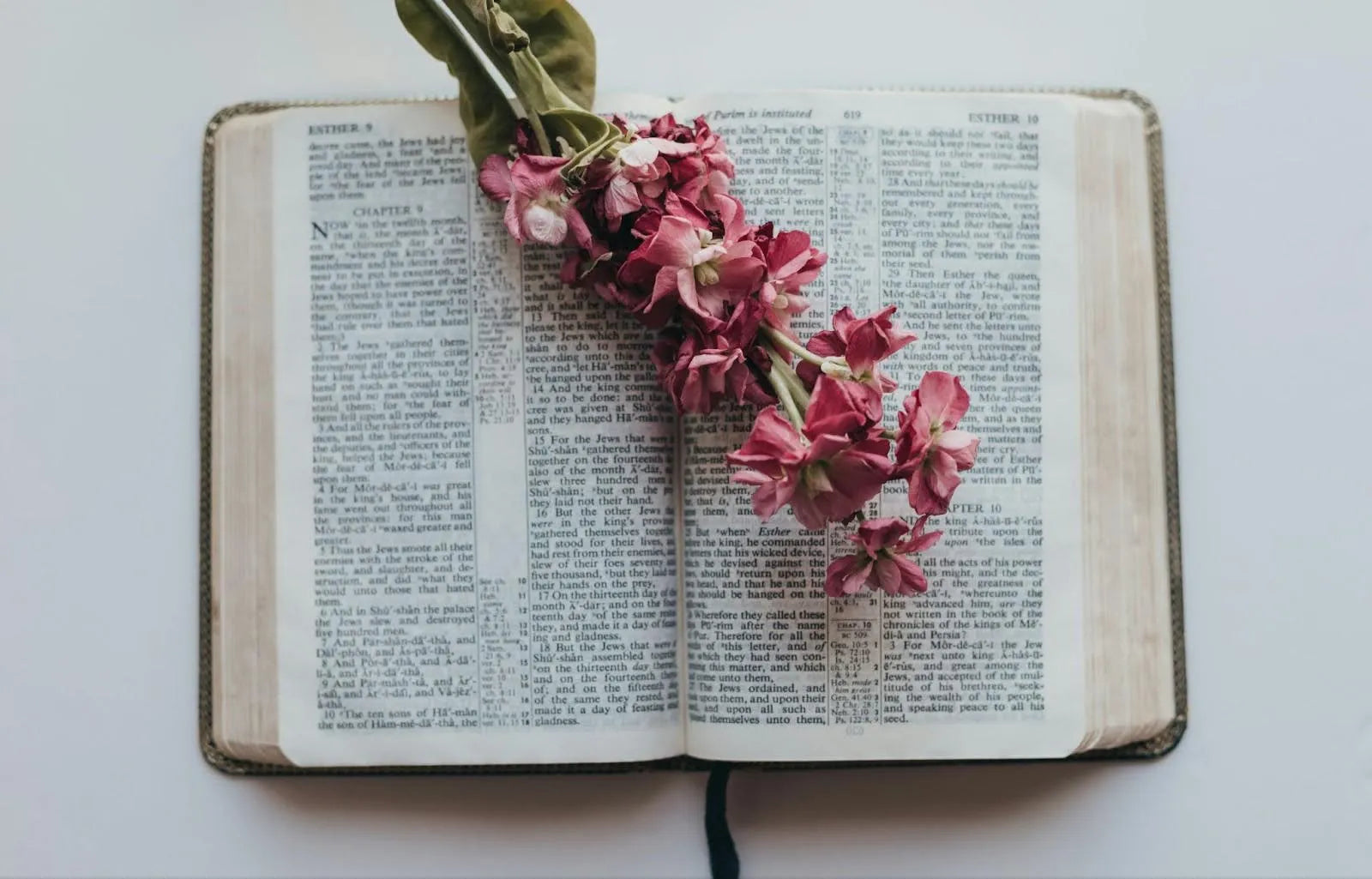 19 Flowers Used in Religious and Cultural Events