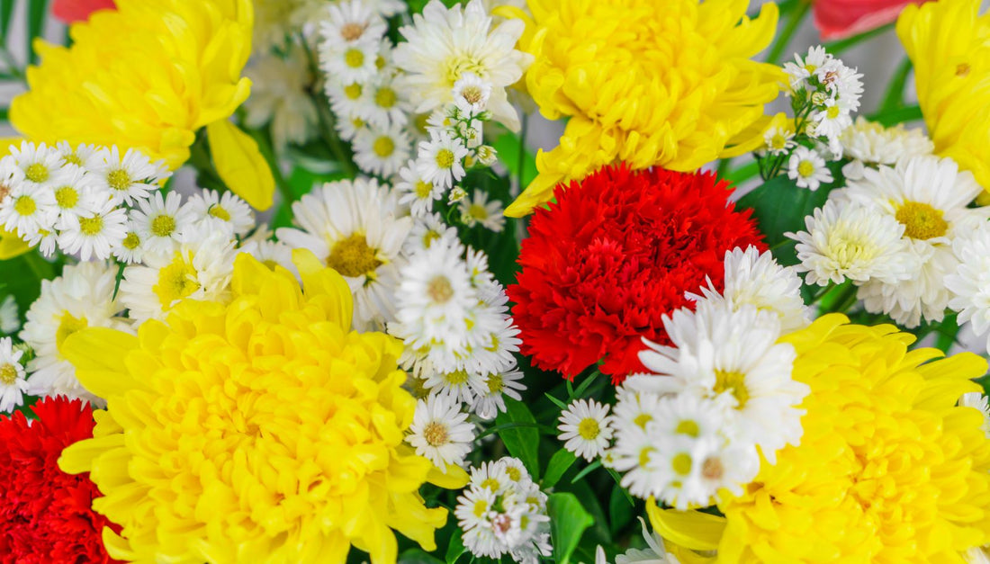25 Flowers That Go Well With Daisies: Create Stunning Bouquets