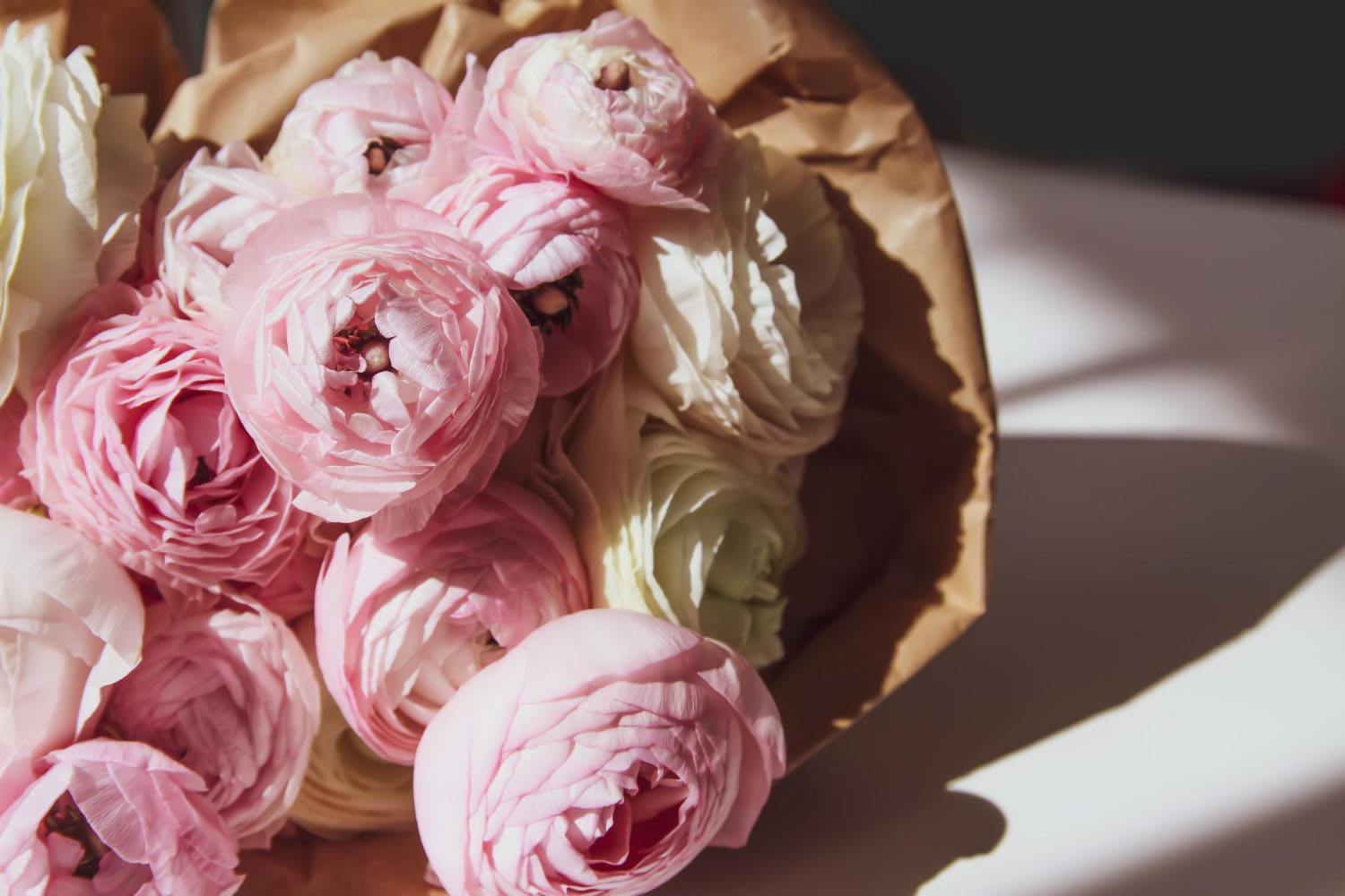 27 Beautiful Flowers That Look Like Roses (But Aren’t)