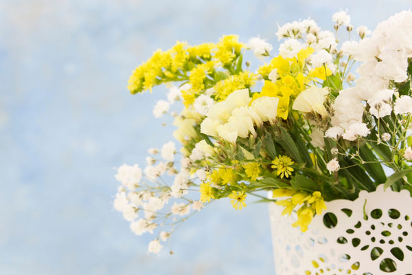 30 Flowers That Means New Beginnings And Fresh Starts