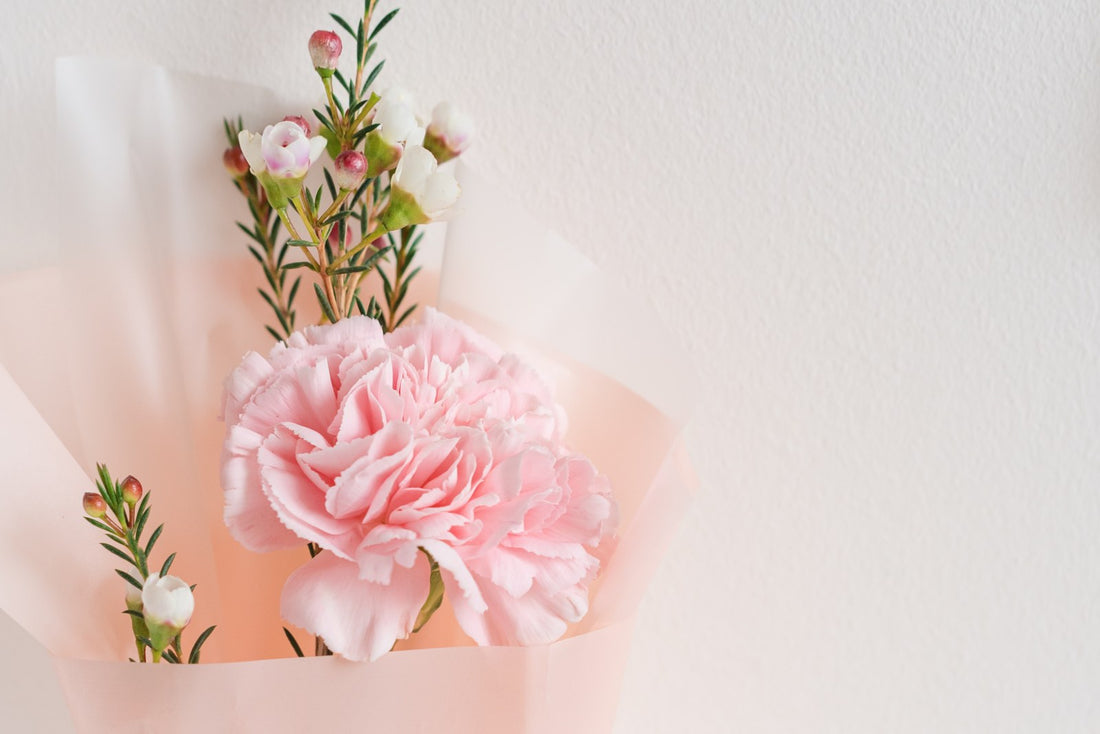 31 Different Types of Carnations You Need to Know