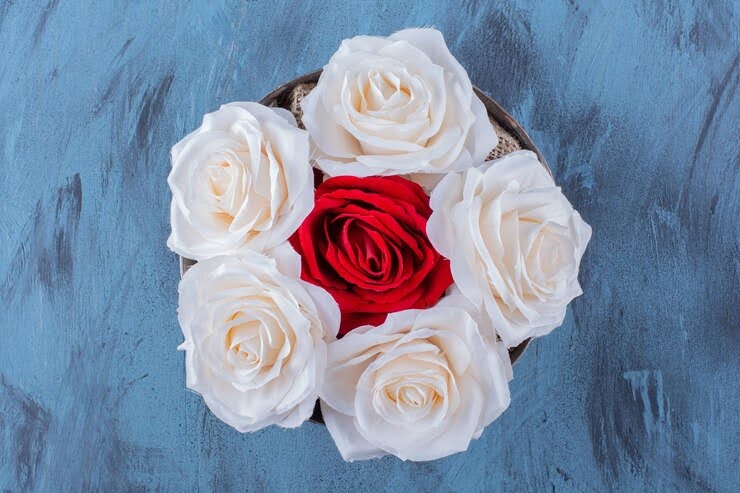 33 Interesting Facts About Roses That Will Surprise You