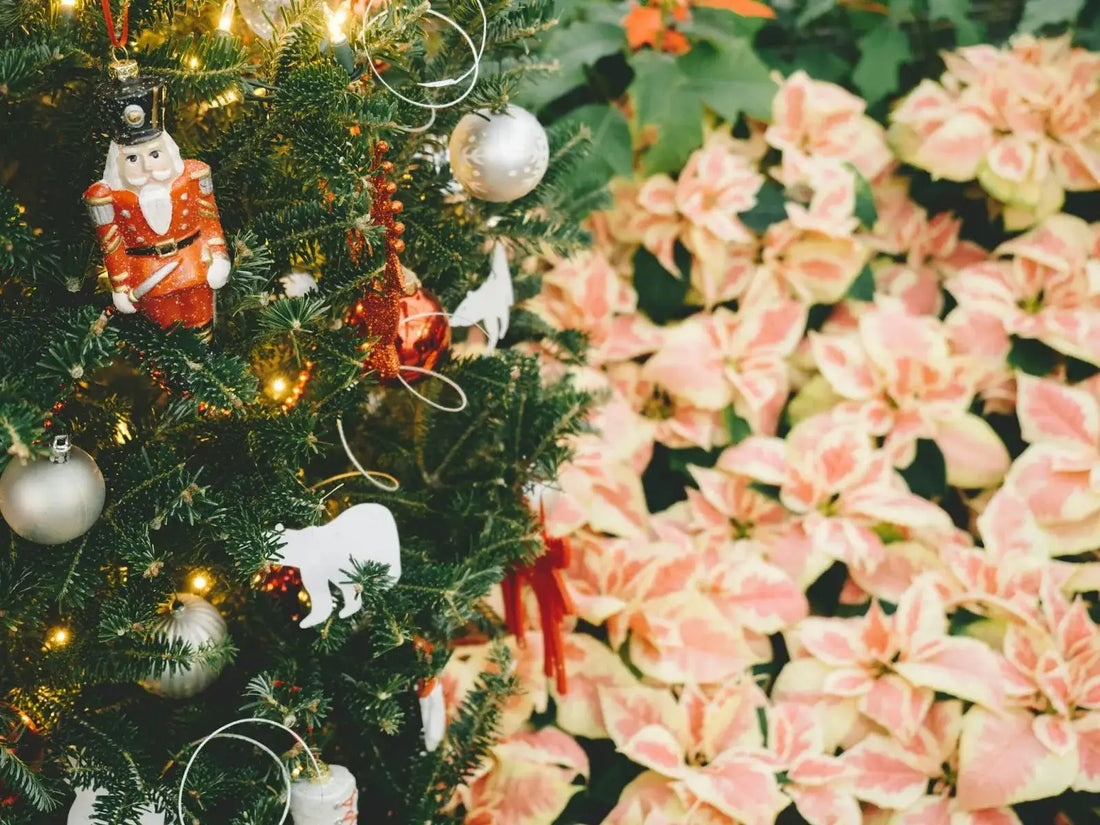 7 Heartfelt Reasons To Send Christmas Flowers