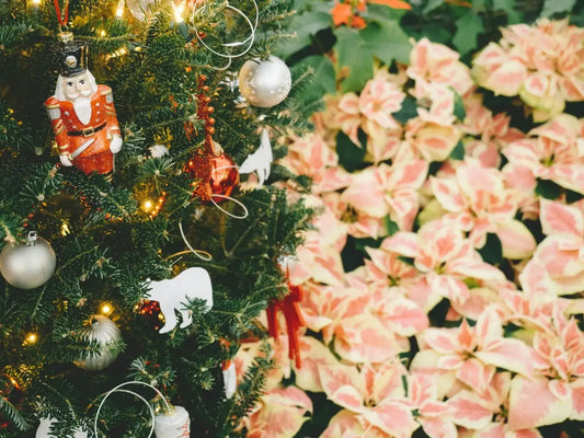7 Heartfelt Reasons To Send Christmas Flowers