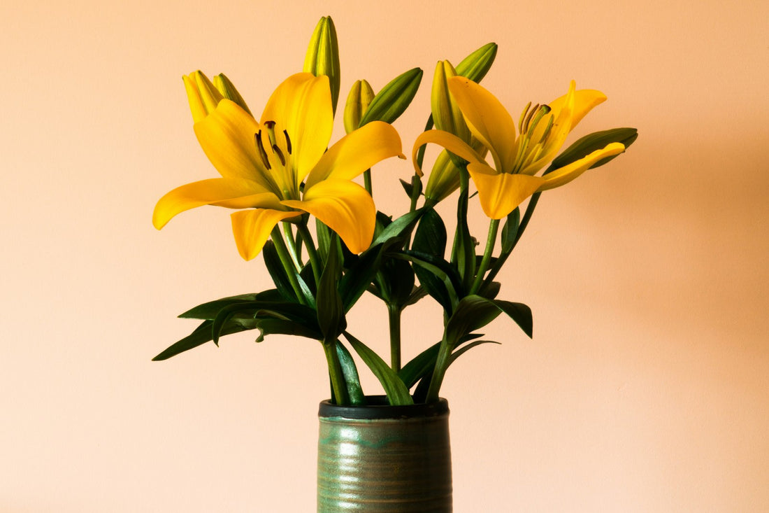A Guide to Companion Planting: 9 Flowers That Go Well with Lilies