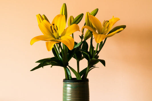 A Guide to Companion Planting: 9 Flowers That Go Well with Lilies