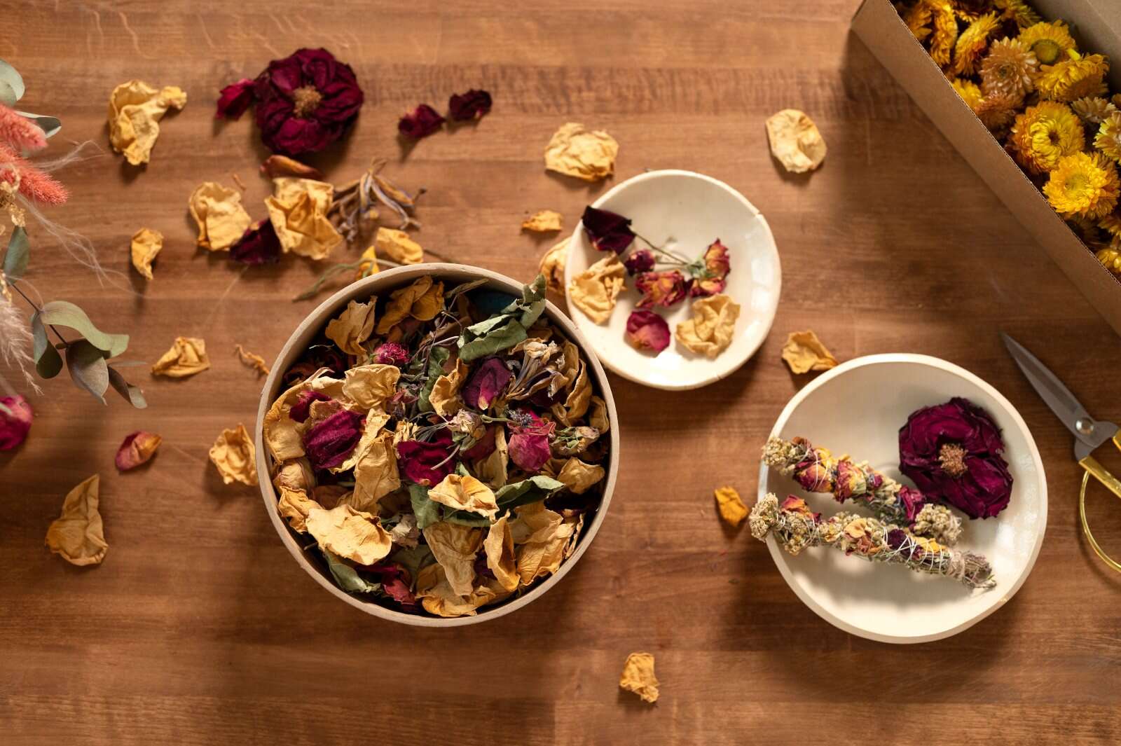 Dried Vs Preserved Flowers: 9 Key Differences You Should Know