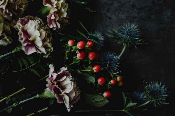 Guide To The 7 Most Popular Types Of Eryngium
