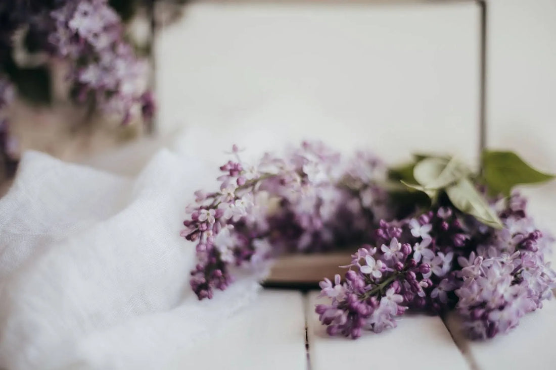 Lilac Care: How to Keep Your Bouquet Fresh and Fragrant