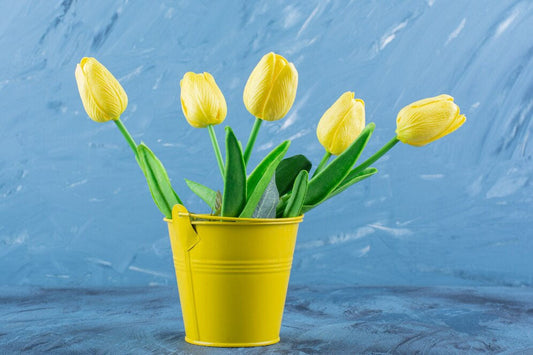 How Long Do Tulips Last In A Vase: 7 Shocking Ways To Extend Their Life