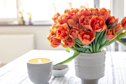 How To Take Care Of Tulips Indoors