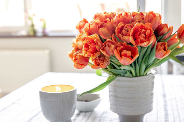 Tulips Indoor Care: 8 Tips to Keep Indoor Tulips Healthy