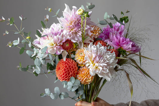 Interesting Facts About Flowers