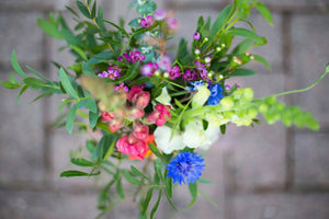 Snapdragon Flower Care For Bouquets And Vases