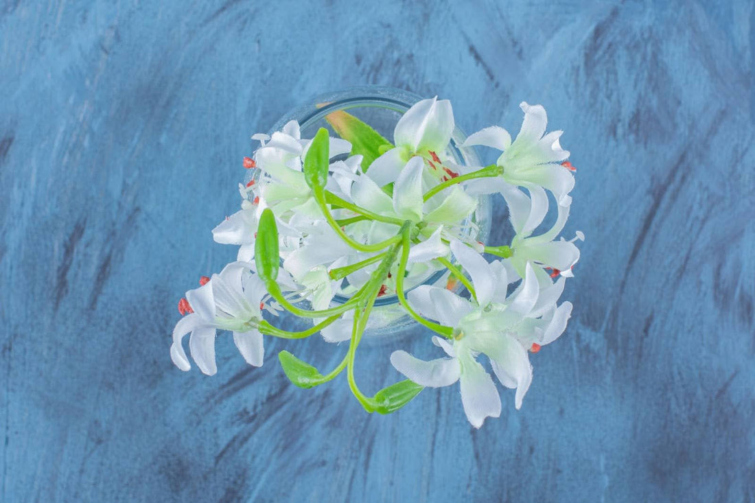 Understanding The Oxypetalum: A Guide To Its Meaning And Symbolism