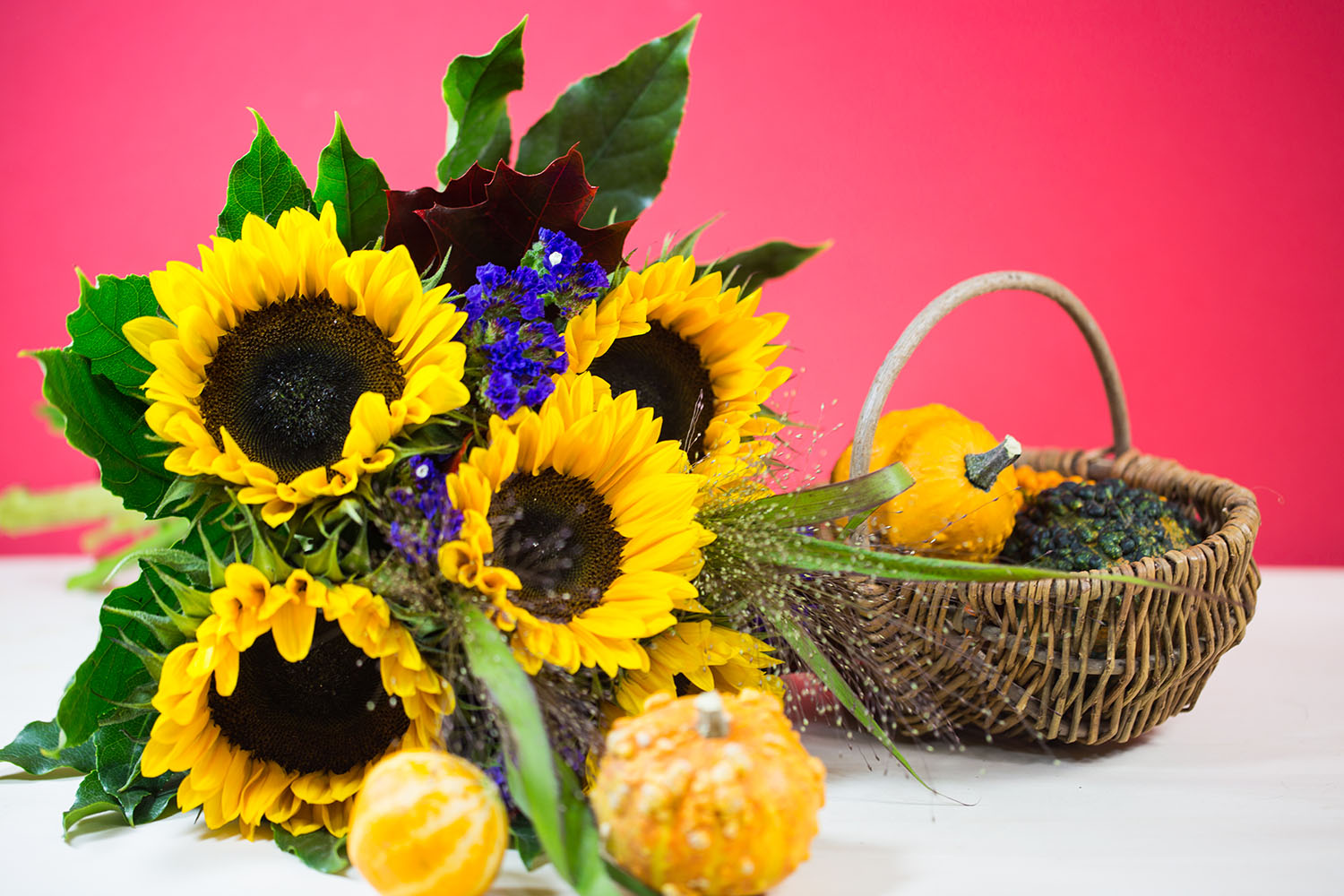 What Flowers Go With Sunflowers? 21 Stunning Pairing Ideas