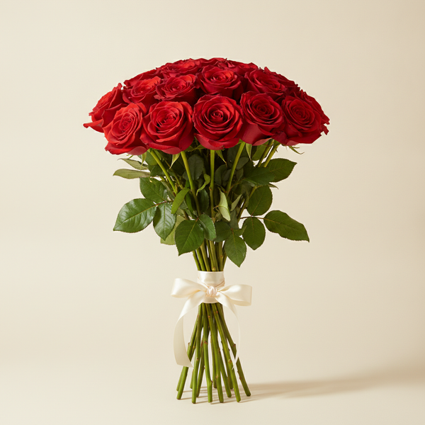 Ecuadorian Roses: Why They Are Worth the Premium