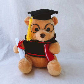 Plush Cheer Bear (Small)