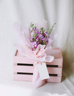 Trio Matthiola In Pink