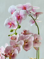 光辉果园兰花（人造）