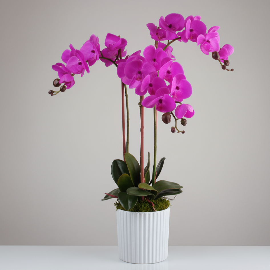 Artificial Phalaenopsis Purple Orchid Table Arrangement 70cm (H)