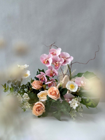 植物盛开的兰花（人造）