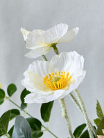 植物盛开的兰花（人造）