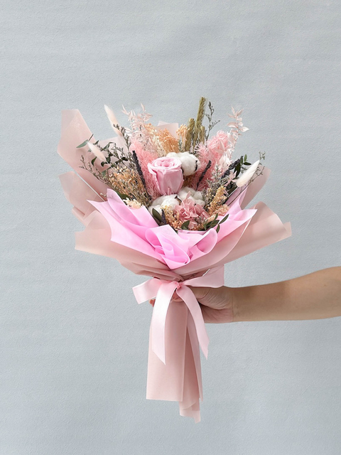 微风海湾（粉色）