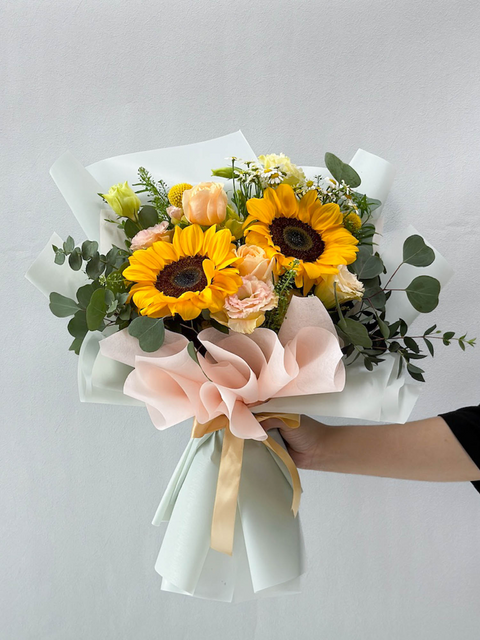 活泼的克莱门蒂