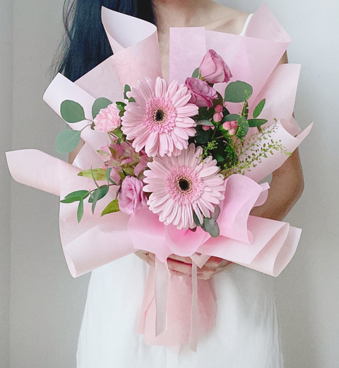 邓普西雏菊粉红