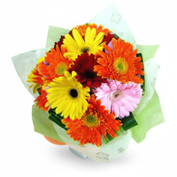 12 Mixed Gerberas Handbouquet