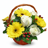 5 Yellow Gerbera & 4 White Roses In Small Basket