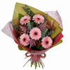 6 Gerbera Pink Hand Bouquet Special wrapping